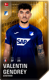Valentin Gendrey - limited