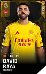 David Raya - limited