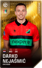 Darko Nejašmić - limited