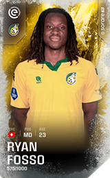 Ryan Fosso - limited