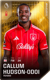 Callum Hudson-Odoi - limited