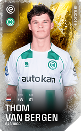 Thom van Bergen - limited