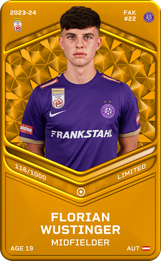 Florian Wustinger - limited