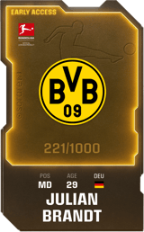 Julian Brandt - limited