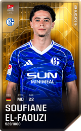 Soufian El-Faouzi - limited