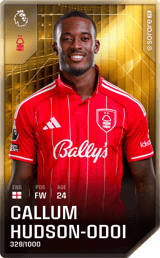 Callum Hudson-Odoi - limited