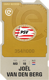 Joël van den Berg - limited