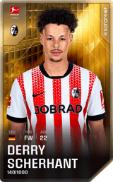 Derry Scherhant - limited