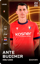 Budimir - limited