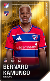 Bernard Kamungo - limited