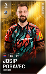 Josip Posavec - limited