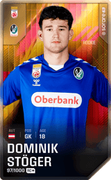 Dominik Stöger - limited