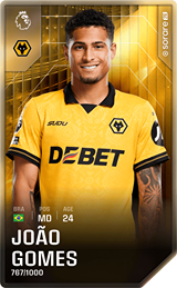 João Gomes - limited