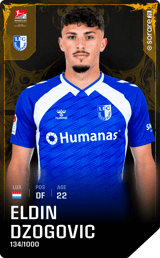 Eldin Dzogovic - limited