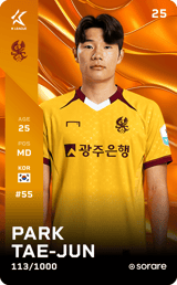 Park Tae-Joon - limited