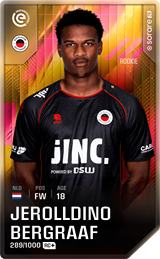 Jerolldino Bergraaf - limited