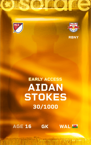 Aidan Stokes - limited