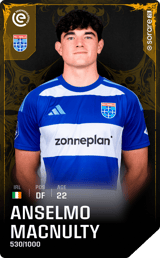 Anselmo MacNulty - limited