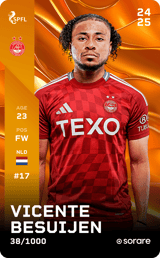 Vicente Besuijen - limited