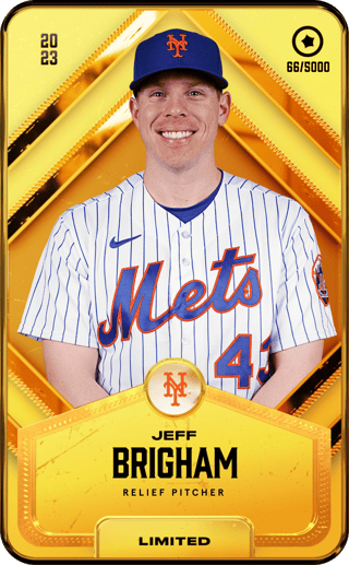 Jeff Brigham - limited