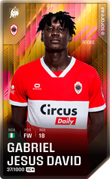 Gabriel David - limited