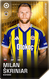 Milan Škriniar - limited