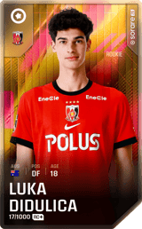 Luka Didulica - limited