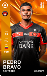 Pedro Bravo - limited