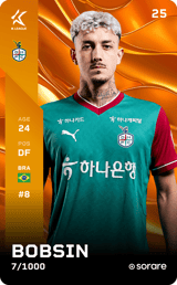 BOBSIN PEREIRA VICTOR - limited