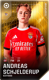 Andreas Schjelderup - limited