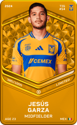 Jesús Garza - limited