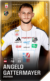 Angelo Gattermayer - limited