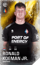 Ronald Koeman - limited
