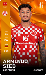 Armindo Sieb - limited