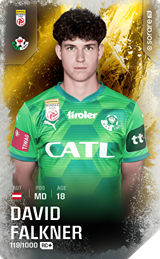 David Falkner - limited