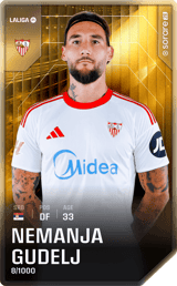 Nemanja Gudelj - limited