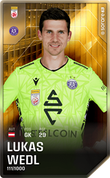 Lukas Wedl - limited