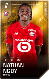 Nathan Ngoy - limited