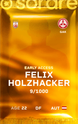 Felix Holzhacker - limited