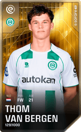 Thom van Bergen - limited