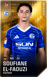 Soufian El-Faouzi - limited