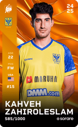Kahveh Zahiroleslam - limited