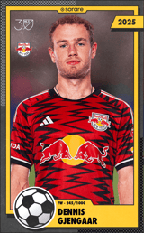 Dennis Gjengaar - limited