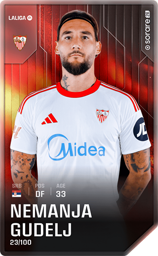 Nemanja Gudelj - rare