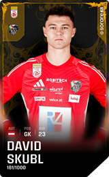 David Skubl - limited