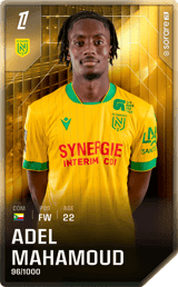 Adel Mahamoud - limited