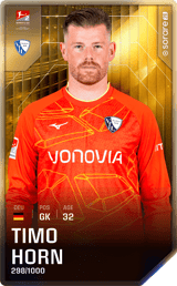 Timo Horn - limited
