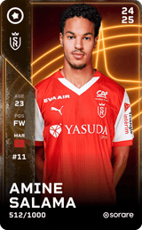 Amine Salama - limited