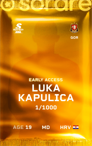 Luka Kapulica