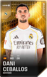 Dani Ceballos - limited